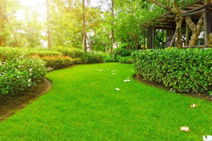 Création de jardin, Meaux
